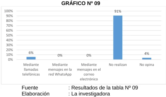 GRÁFICO Nº 09 