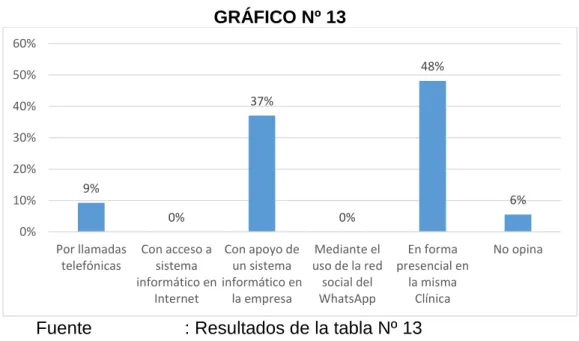GRÁFICO Nº 13 