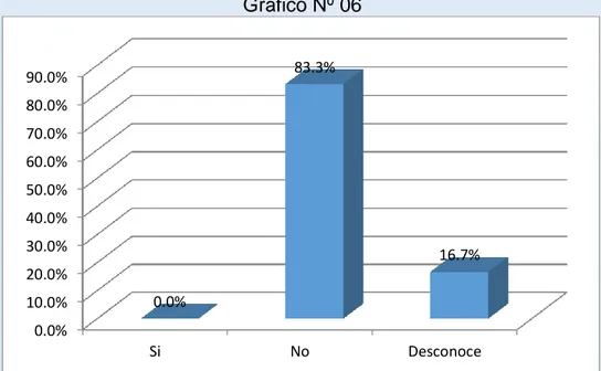 Gráfico Nº 06 