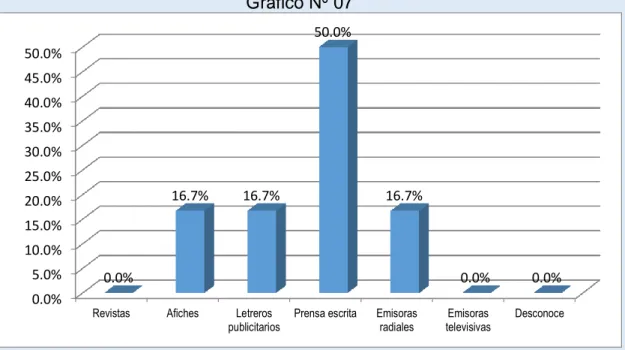 Gráfico Nº 07 