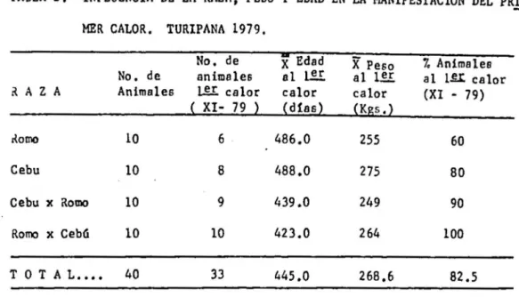 TABLA  2.  INFLUENCIA  DE  LA  RAZA,  PESO  Y EDAD  EN  LA  HANIFESTACION  DEL  PRI  MER  CALOR