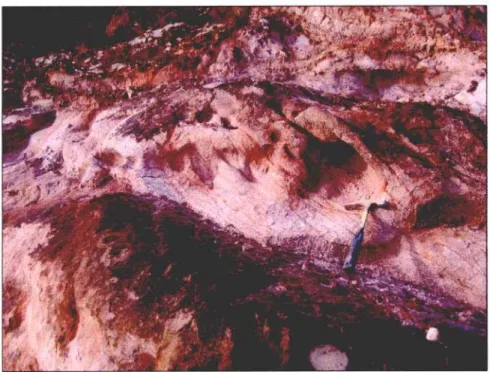 Foto 3: Detalle de arenas de la Formación Utrillas en la Sierra de¡ Puerto,