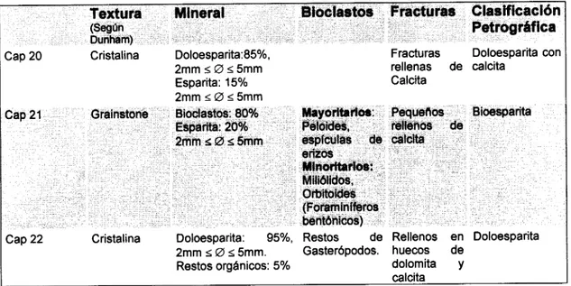 Figura 12: Cuadro donde se representan las características microscópicas de las muestras.