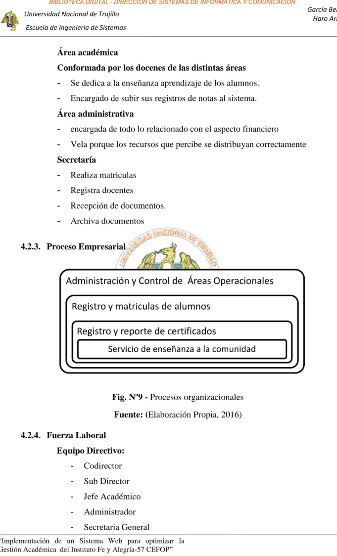 Fig. Nº9 - Procesos organizacionales 