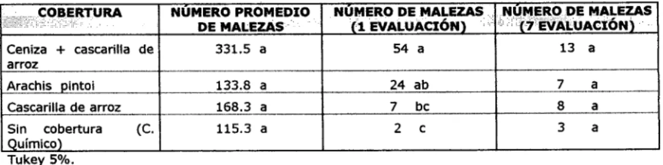 Tabla 9. Efecto de las coberturas sobre la población de rnalezas en el cultivo de la piña.