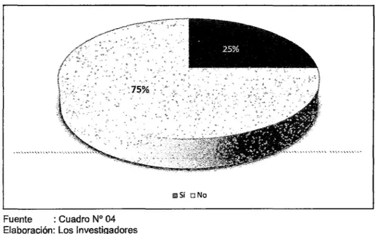 GRÁFICO N° 11 