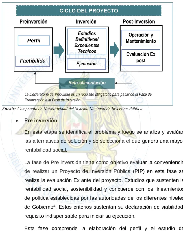 Gráfico N° 4: Ciclo Del Proyecto 