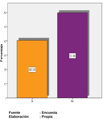 GRÁFICO N° 06 
