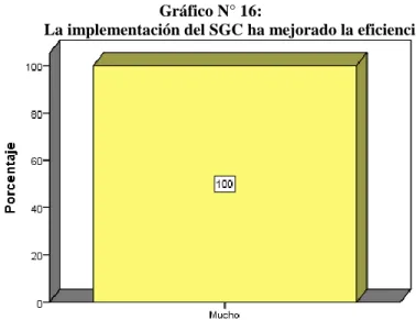 Gráfico N° 16: 