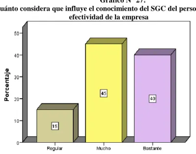 Gráfico N° 27: 
