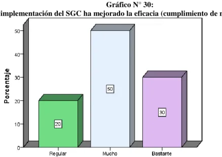 Gráfico N° 30: 