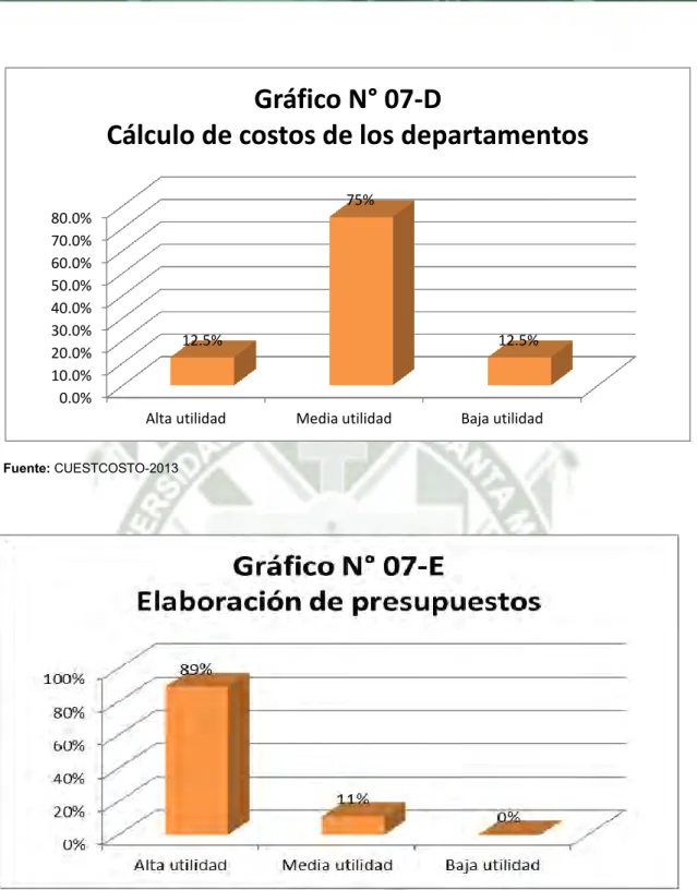 Gráfico N° 07-D 