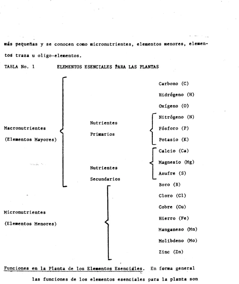 TABLA No. 1	ELEMENTOS ESENCIALES  PARA  LAS PLANTAS