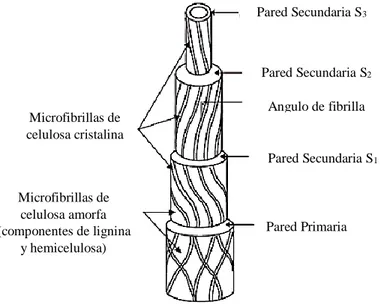 Figura N° 2. Estructura de las fibras lignocelulosicas. (Cornes , Smith, &amp; Haward, 