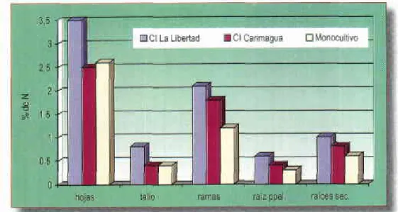 Figura  14.  Concentración  de Nitrógeno  en ellejido  vegetal  de las  diferentes  partes  de la planta de cáucho  por  sede