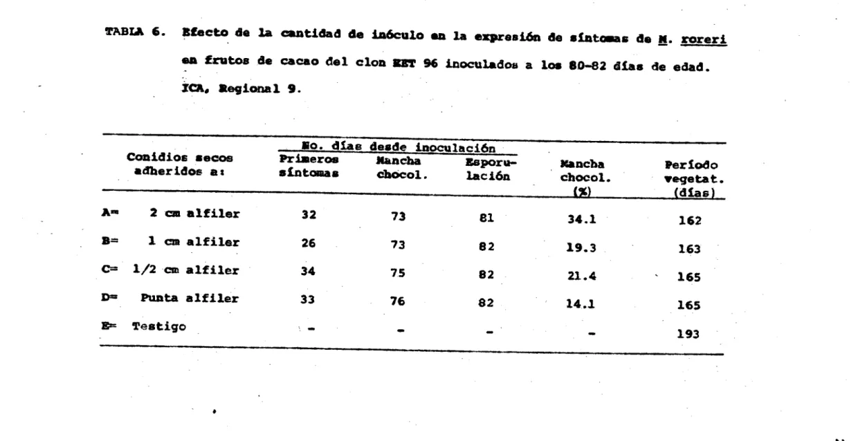 TABlA 6. Efecto de la cantidad de inóculo su la expresión  de sítosas de 14.  roreri en frutos de cacao del clon RET 96 inoculados a los 80-82 días de edad.