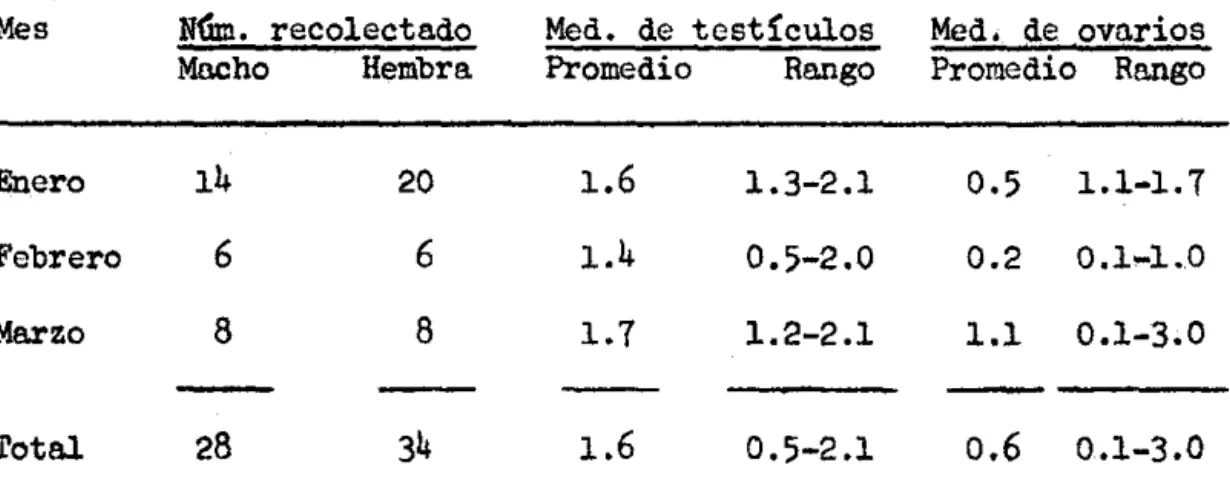 TABLA  2.  Medida  de  6rganos  reproductores  (en  cent!metros)  de  tor- tor-cazas  naguib1ancas  recolectadas  en  el  Valle  del  Cauea,  1972