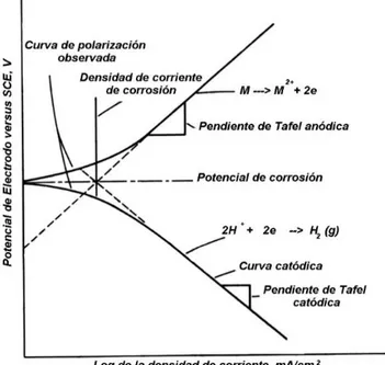 Figura 1.3. Curva de Polarización Potenciodinámica. (ASTM G 3, 1999) 
