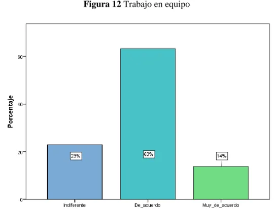 Figura 12 Trabajo en equipo 