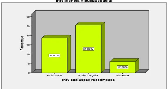 Figura 3: Diagrama de Inteligencia Visual/Espacial     