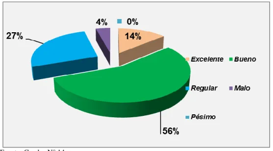 GRÁFICO N° 14 
