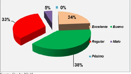 GRÁFICO N° 15 