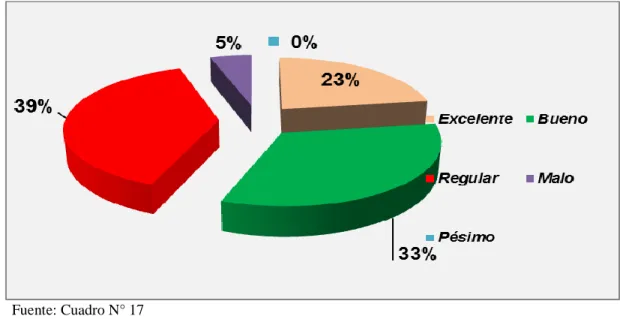 GRÁFICO N° 17 