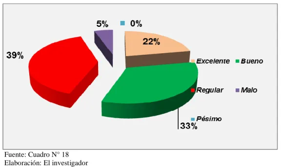 GRÁFICO N° 18 