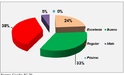 GRÁFICO N° 20 