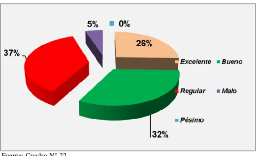 GRÁFICO N° 22 