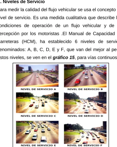 Figura N° 15: Tipos de niveles de servicio 
