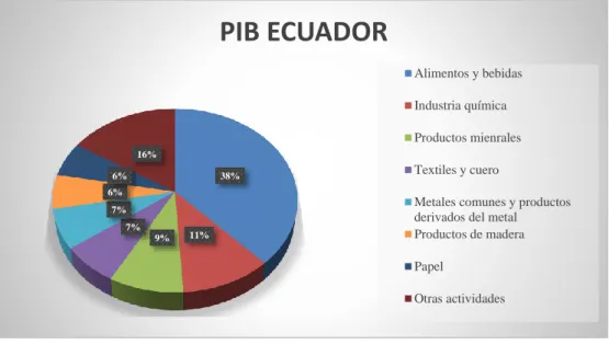 Gráfico N º01 PIB Ecuador 
