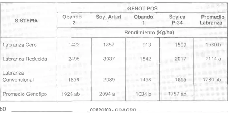 Tabla 33.  Efecto de los sistemas  de labranza  sobre cinco genotipos  de soya.