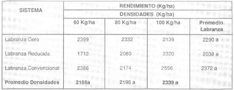 Tabla 35.  Efecto de las densidades  de siembra en el rendimiento,  en los sistemas de labranza