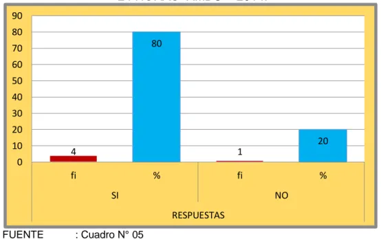 GRÁFICO N° 05 