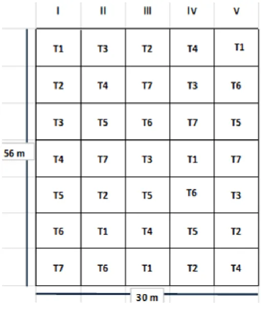 Fig. 01 DISEÑO DEL CAMPO EXPERIMENTAL  T1 T2 T3 T4 T5 T6 T7 TESTIGO ABSOLUTO