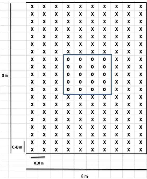 Fig. 02 CROQUIS DE LA UNIDAD EXPERIMENTAL 