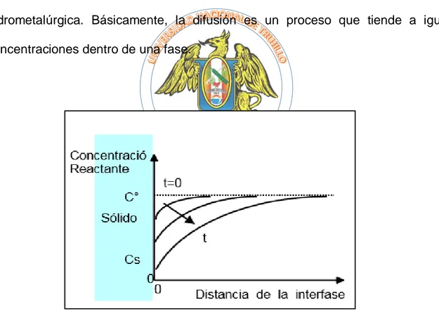 Fig 5. Perfil de concentración de un reactante que se consume cerca de la interface 