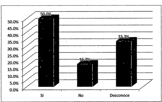 Gráfico N° 05 