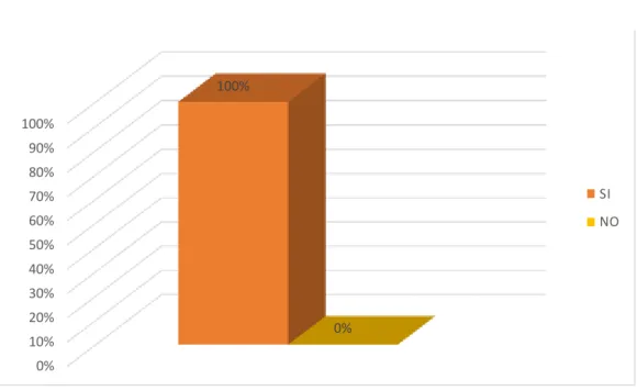 GRÁFICO N° 05 