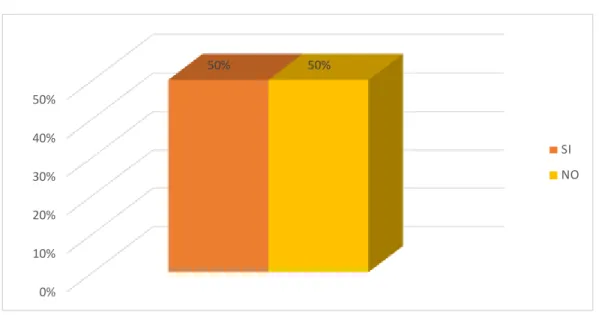 GRÁFICO N° 11 