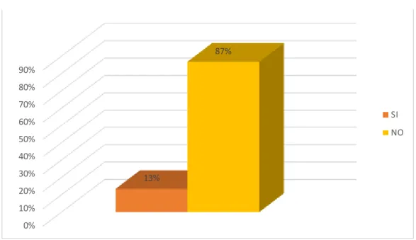 GRÁFICO N° 13 