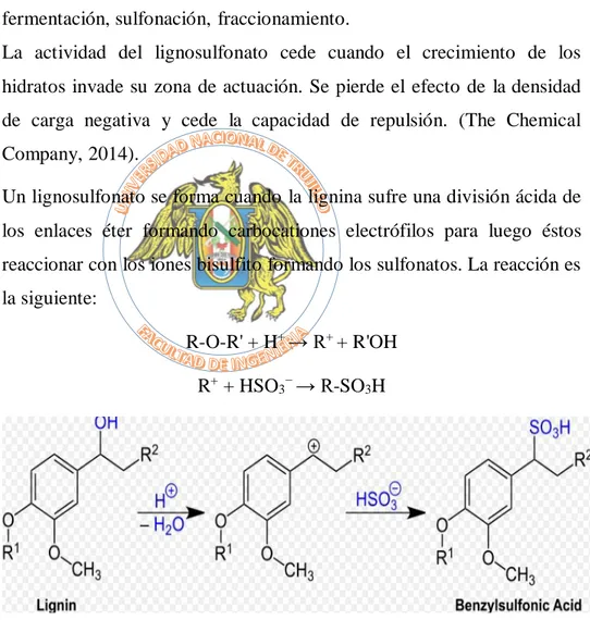 Figura N°9: Estructura general de los lignosulfonatos. (Wikipedia, 