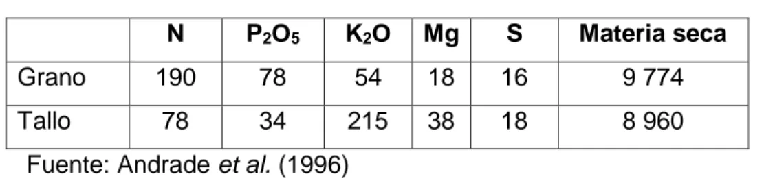 Tabla 03.Absorción de nutrientes por el cultivo de maíz con rendimiento de  11 t ha -1 