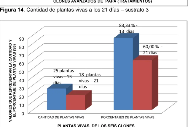 Figura 15. Cantidad y porcentaje de plantas vivas con el sustrato 3: Compost +  Musgo + Perlita (13-21 días)