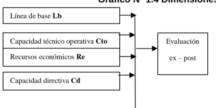 Gráfico Nº 1.4 Dimensiones 