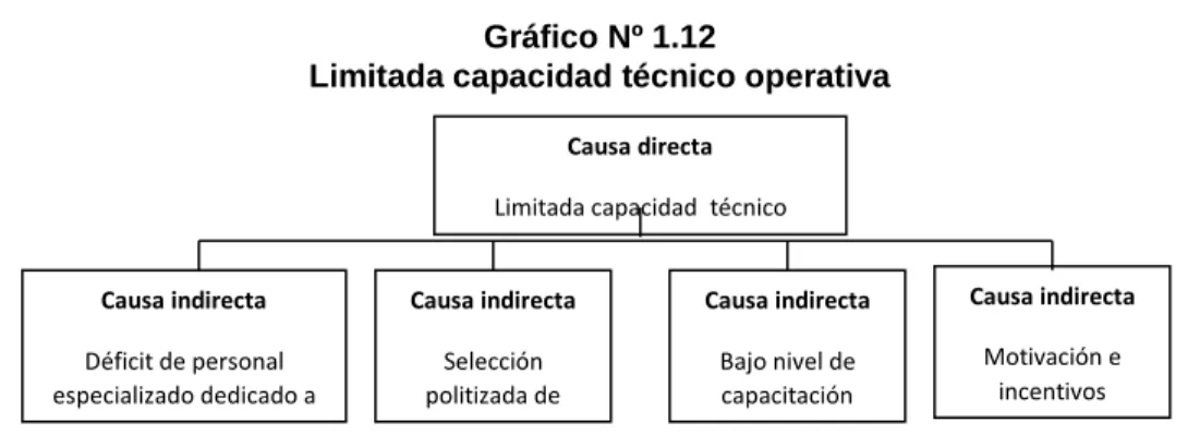 Gráfico Nº 1.12 