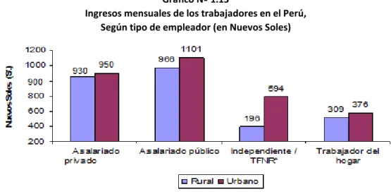 Gráfico Nº 1.13 