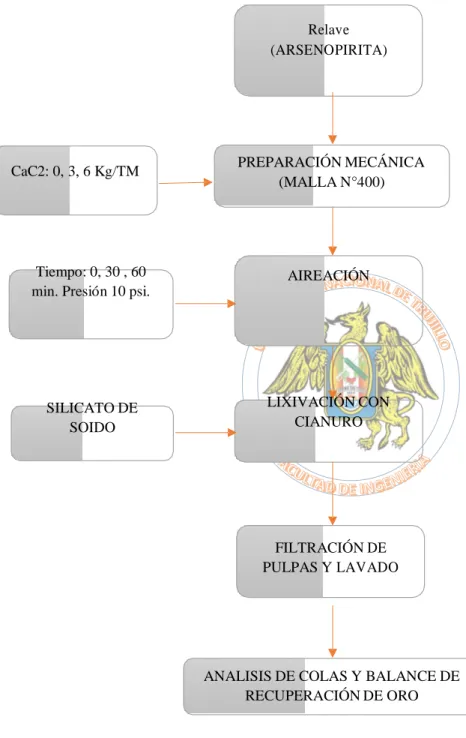 Figura 3: Diagrama de procedimiento.