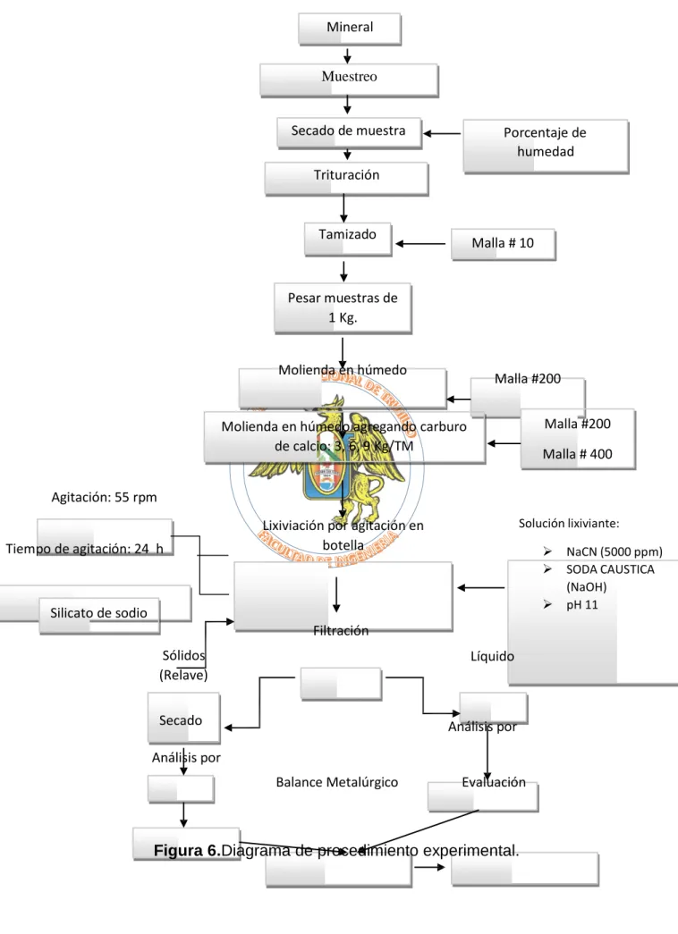 Figura 6.Diagrama de procedimiento experimental.